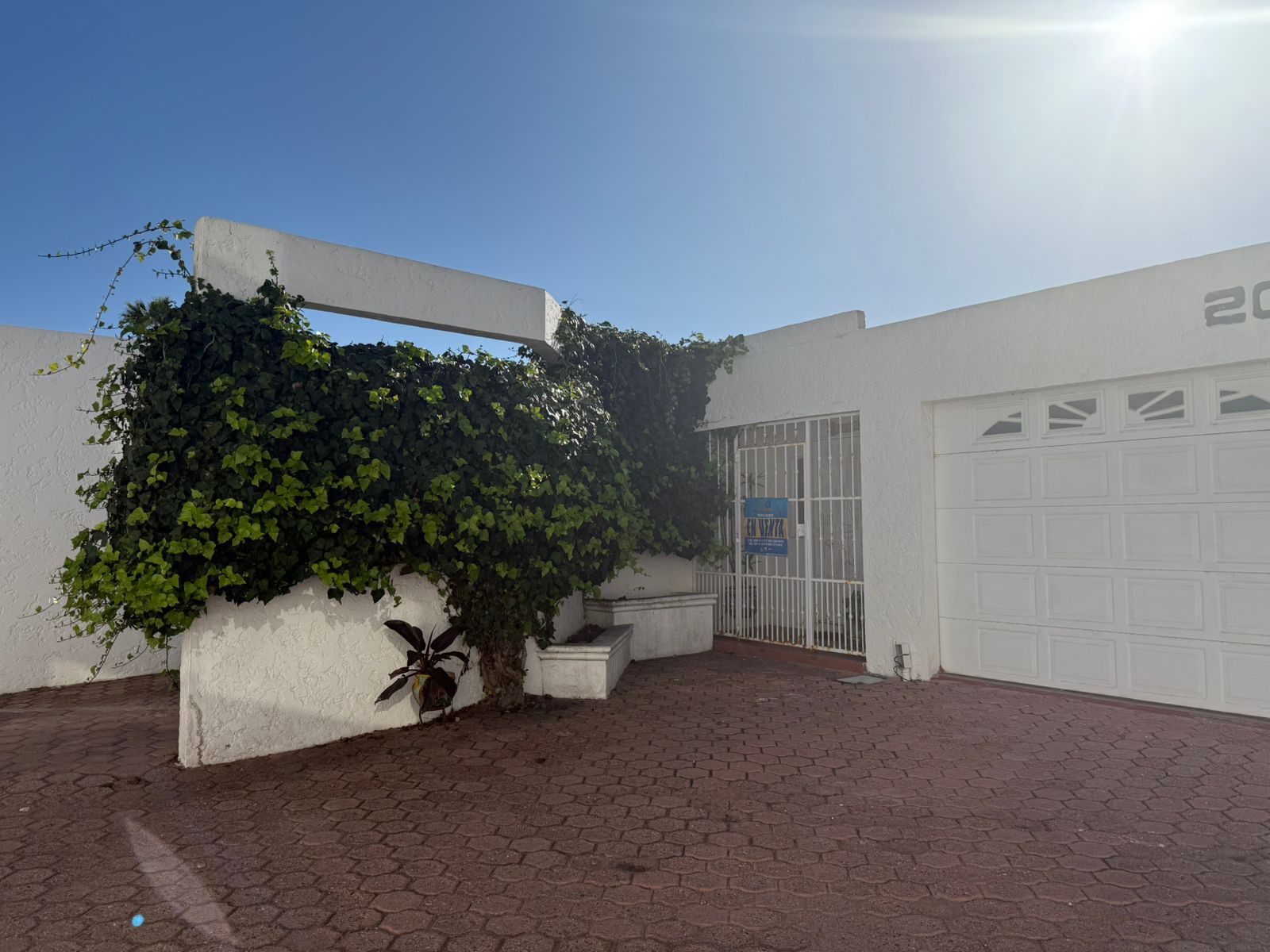 WhatsApp Image 2025-09-28 at 4-30-27 PM.jpeg